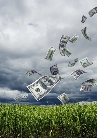Create new beliefs about money; and manifest it easily!